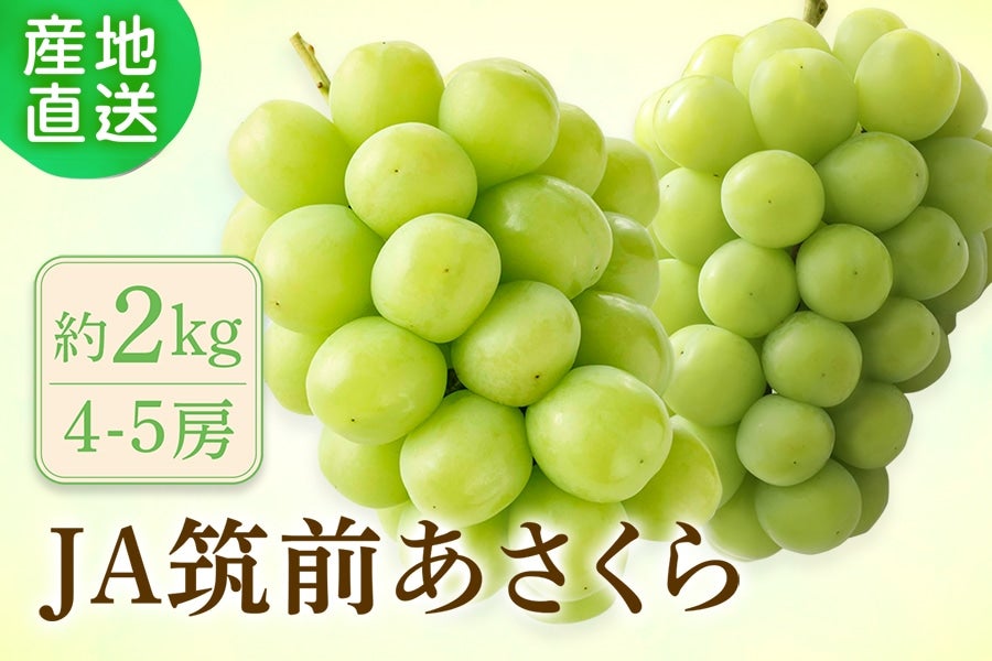 ��JA�}�O��������@�V���C���}�X�J�b�g��2�s�i�i�{�[�����j���V�������{�`8����{�������o�ח\��@��4��3���̔��J�n�\��