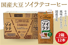 yQZbgzY哤100@\CeR[q[(1000ml×U{)