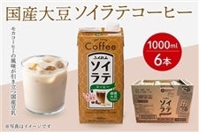 ���Y�哤100���@�\�C���e�R�[�q�[(1000ml×�U�{)