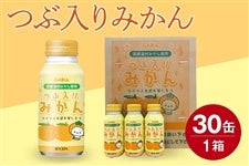 �ԓ���݂���(190g×30��)