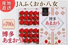 JAӂ@w܂x 700g