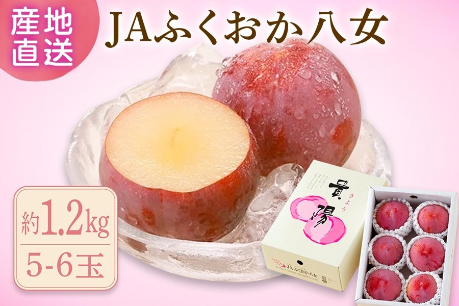 JAӂ@wMzx 1.2kgiϔj7{`{oח\