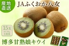 JAӂwÏnLECx 15ʁi1.8sAϔj12{`{oח\
