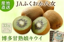 JAӂwÏnLECx 33ʁi3.6sAi{[j12{`{oח\