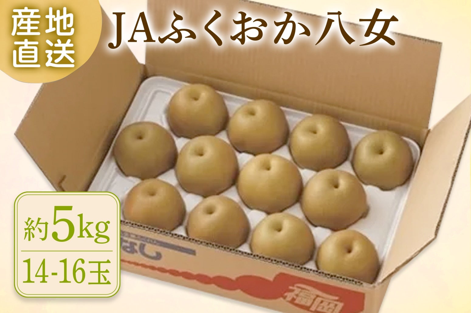 JAӂ@Li5sAi{[j 8{`oח\