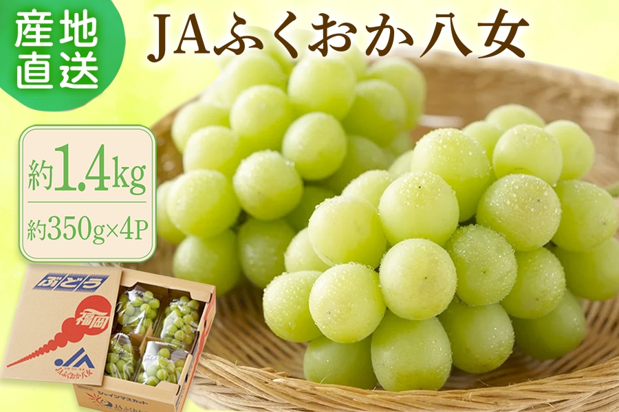 �V���C���}�X�J�b�g ��1.4�s�i�i�{�[�����j��8�����{�`9����{�o�ח\��@��JA�ӂ���������