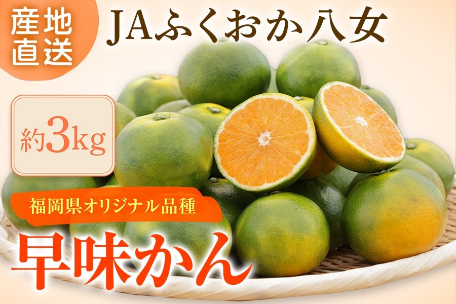 i`ӂ@ 3sii{[j@922`10{܂łɂ͂\