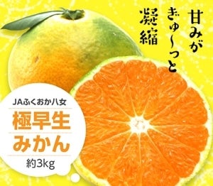 JAӂ ɑ݂ 3kgiS i{[j@9{`10{\