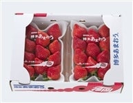 �y�������ԘA�g�z��JA�ӂ����������w�������܂����x�c�w ��270g×10P�i2pk×5���j