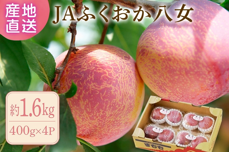  JAӂ@Mzi400g×4jpbN@7{`{oח\