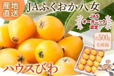 ��JA�ӂ����������@�n�E�X�т�@��500g�i���ϔ��j ��4�������{�`�S�����{���o�ח\��