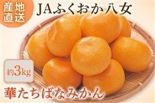 ��JA�ӂ����������@�w�؂����΂Ȃ݂���x ��3�s