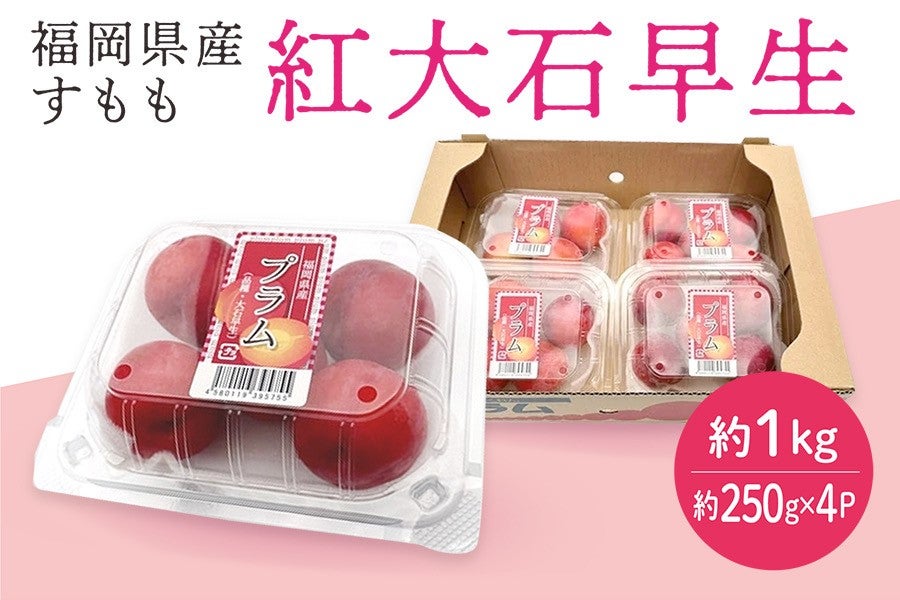 yƒpzYwgΑx1si250g×4Pj6{`oח\