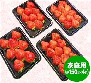 yƒpz܂@150g×4P@1㒆{oח\