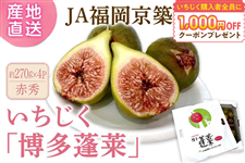 �n�E�X���������w�����H���x��270g×4�p�b�N�@��JA�������z�@��6�����{�`���{���������\��