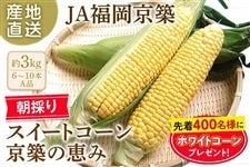 �y2026�N4�����{�\��̔��J�n�\��z�y�N�[���֔z���z�����̂�I���������IJA�������z �X�C�[�g�R�[���w���z�̌b�݁x��3�s�@��6�����{�`���{�o�ח\��