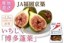 ���������w�����H���x��1.2�s�i��300g×4�p�b�N�j��8�����{�`���������\�� ��JA�������z
