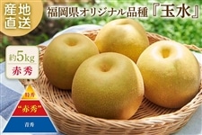 梨（なし）|【JAタウン】産地直送 通販 お取り寄せ