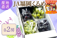 �����s�I�[�l�E�V���C���}�X�J�b�g ��2�s �e2�[�i���ϔ����j��7�����`8�����{�����o�ח\��@��JA���������