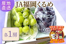 �����s�I�[�l�E�V���C���}�X�J�b�g ��1�s �e1�[�i���ϔ����j��7�����`8�����{�����o�ח\��@��JA���������
