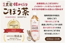 豊前姫かほりごぼう茶ペットボトル(500ml×24本入)