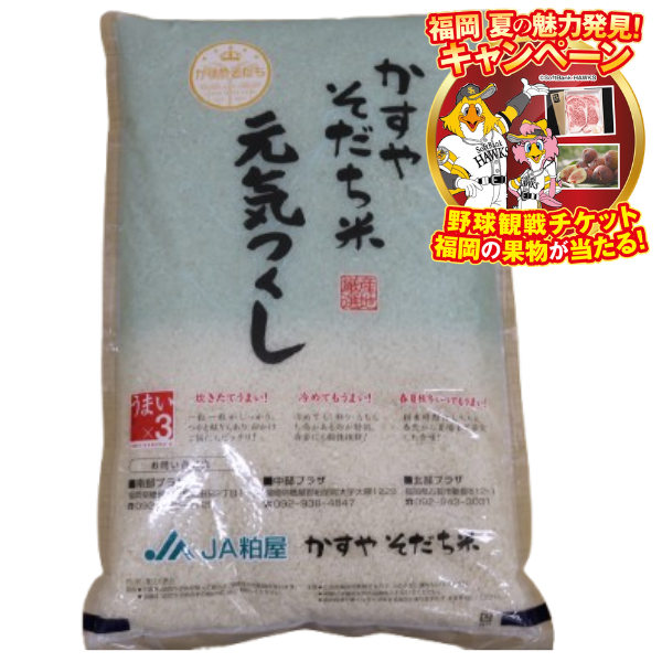 福岡のお米|【JAタウン】産地直送 通販 お取り寄せ