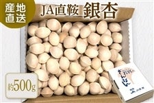 JAƁ@ǁ@500g@10{`11{oח\
