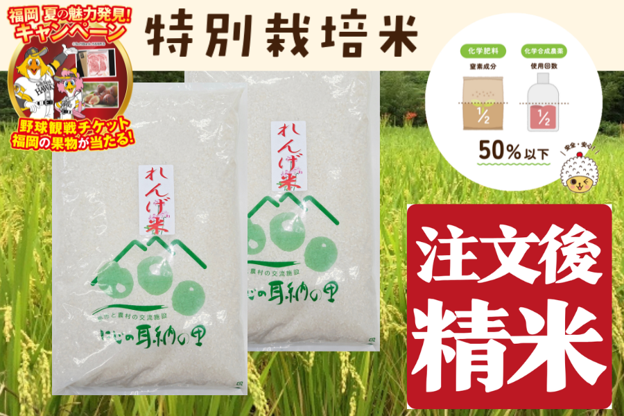 有機JAS米・特別栽培米|ヒノヒカリ|【JAタウン】産地直送 通販 お