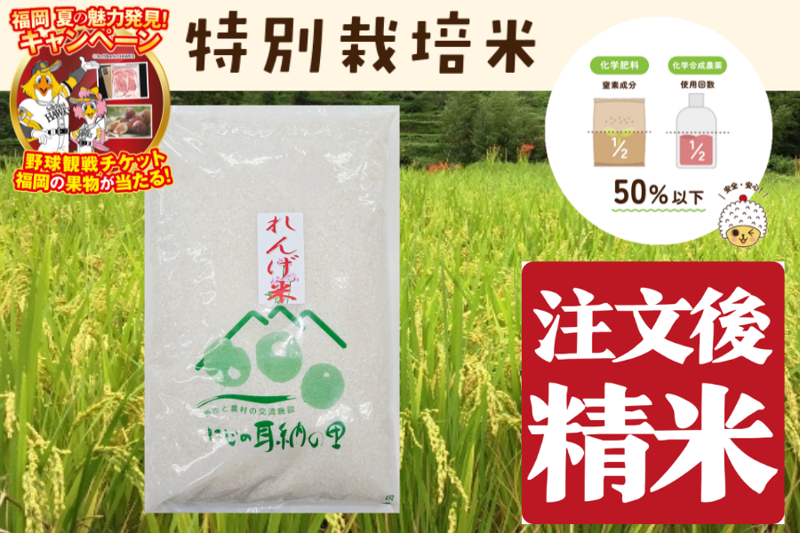 ヒノヒカリ|【JAタウン】産地直送 通販 お取り寄せ