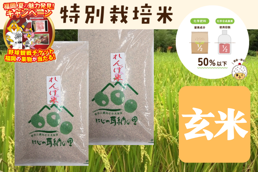 ヒノヒカリ|10kg以上、15kg未満|【JAタウン】産地直送 通販 お取り寄せ