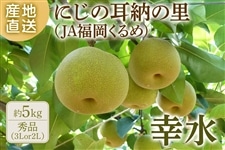 梨（なし）|【JAタウン】産地直送 通販 お取り寄せ