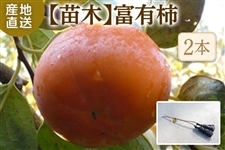 �x�L�`�c��(2�{) ��11�����{�ȍ~���������\�� ���i�`��������߁i�ɂ��n��j