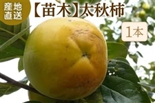 ���H�`�c��(1�{�j��11�����{�ȍ~���������\�� ���i�`��������߁i�ɂ��n��j