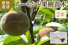 苗木・栽培セット|【JAタウン】産地直送 通販 お取り寄せ