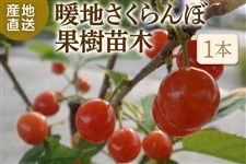 �g�n�������ډʎ��c��(1�{)