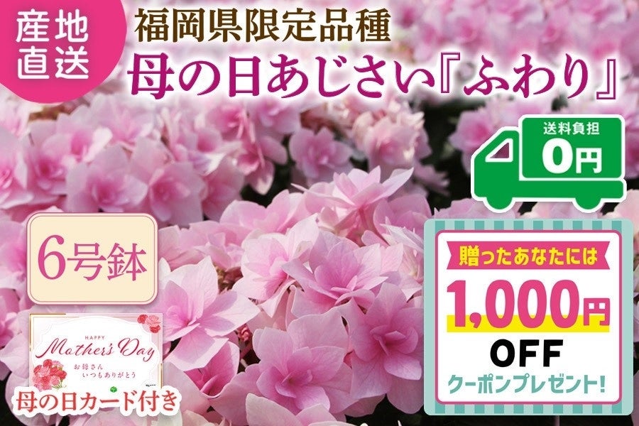 ���y��̓��z���������������琬�V�i��w�ӂ��x���A���@��5��7����Ĕ����\��y�t��JA�^�E���Ղ�z