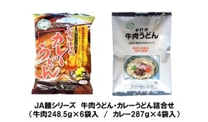 ＪＡ麺シリーズ　牛肉うどん・カレーうどん詰合せ(牛肉6袋・カレー4袋入)