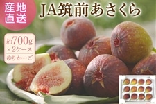 いちじく|【JAタウン】産地直送 通販 お取り寄せ