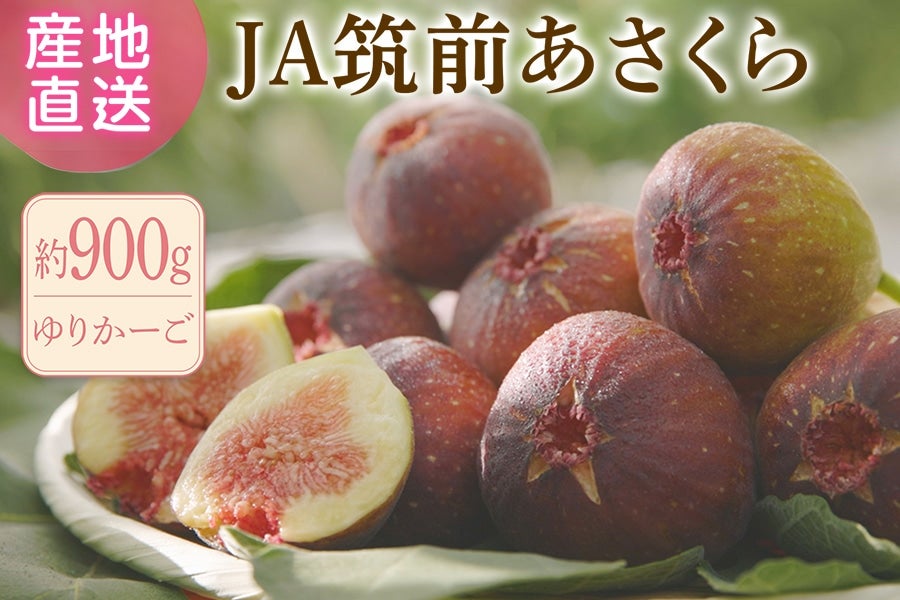 JA}O@wƂ݂Ђ߁x900g@肩[@9{菇\