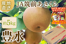 ���w�L���x��5�s�i�i�{�[�����j��8�����{���`�X����{���o�ח\��@��JA�}�O��������