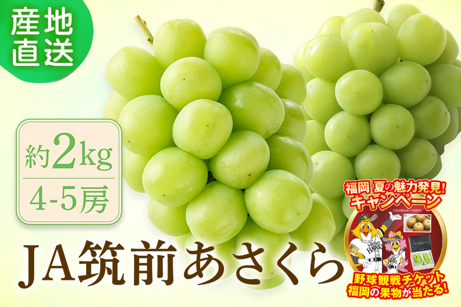 �V���C���}�X�J�b�g��2�s�i�i�{�[�����j��JA�}�O��������@���V�����{�`8����{�������o�ח\��