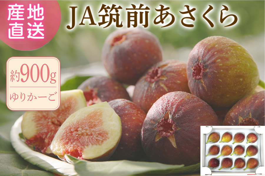 JA}O@wƂ݂Ђ߁x900gi肩[j