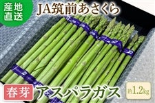 ◎JA筑前あさくら 【春芽】アスパラガス 約1.2s ※3月上旬〜4月上旬出荷予定