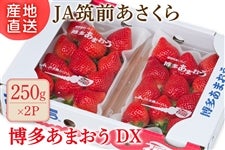 �y���ƒ�����z��JA�}�O��������w�������܂����x�c�w ��250g×2P