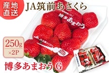 �y���ƒ�����z��JA�}�O��������w�������܂����xG ��250g×2P