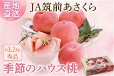 ��JA�}�O��������@�G�߂̃n�E�X���@��1.2�s�i��300g×4�p�b�N�j��6����{�`���{�����\��