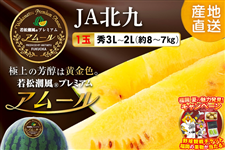�ᏼ�����v���~�A�� �A���[�����G3L�`2L(��8�s�`7�s�j1�ʁ�(��ʉ��F������)�@��JA�k��@��7�����{�`8����{���o�ח\��