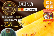 8001-N-800171-0018.png