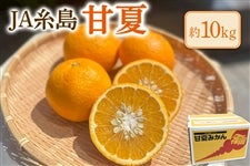 �y���������ʉ��i�z���i�`�����@�Éā@��10�s�@��4�����{�`�����o�ח\��