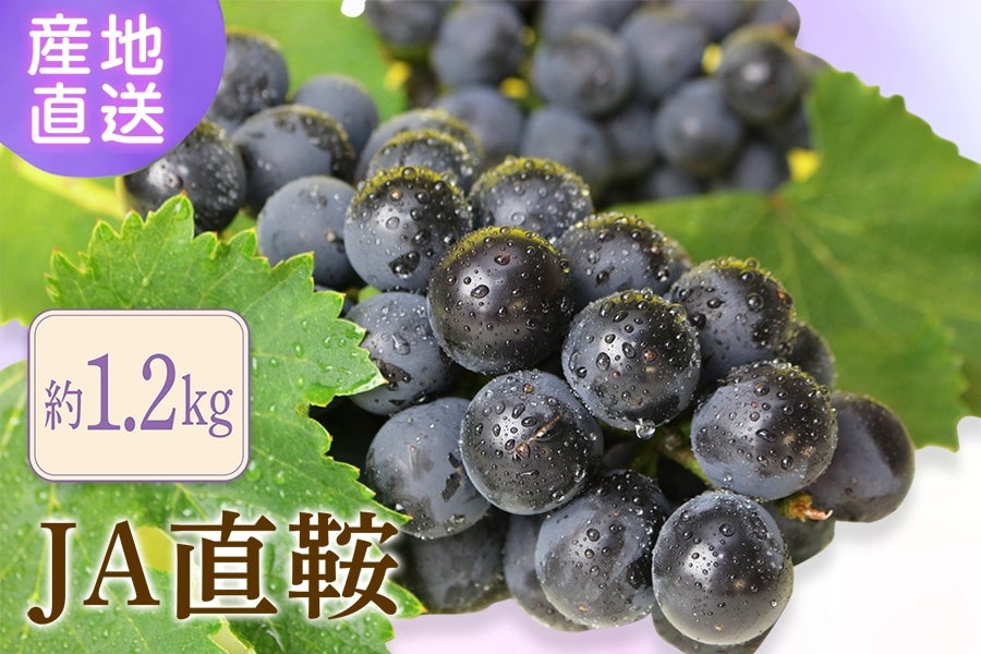 yƒpzi`Ɓi傭j@1.2kg(킠)@8{`oח\